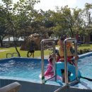 원두막캠프 이미지