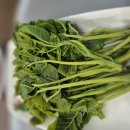 다경농장 이미지