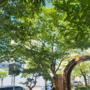 은구비로(유성-39) | 대전 유성 산책코스 /유성 봉명동 족욕체험장