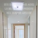 포레스톤A 이미지