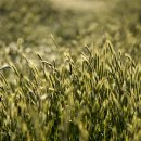 남해 금빛 이미지