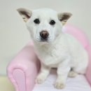 구산면820 티스토리