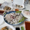 감포 바다 앞 민박 이미지