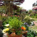 꽃님이네 이미지