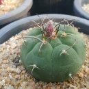 귀선농장 이미지