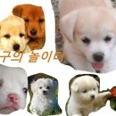 덕구놀이터 이미지