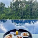 LNK팜 | 발리 신혼여행 5일차 우붓 바이스로이 viceroy bali 캐스케이드 플로팅조식 아페리티프