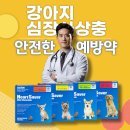 성모온누리약국 이미지