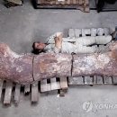 화석농장 이미지