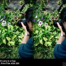 렌즈나라 이미지