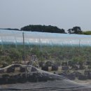 숙희농장 이미지