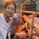 (주)휴온스생명과학 | 동물자원 교사 임용고시 초수 합격후기[1탄] 대학교, 스펙, 자격증, 대외활동, 인턴 총 정리!