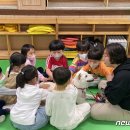 왕지초등학교 병설유치원 이미지