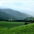 오대산 달빛 이미지