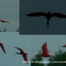 아이비스PC 이미지