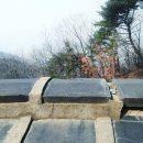 네파남한
