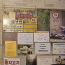 국생돈