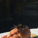 컨츄리로드커피 이미지