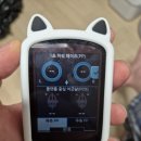 듀라오토 | 속도계 사용기
