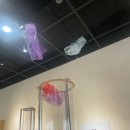 괴산군공유자전거(역말교옆) | 박물관 세종박물관단지] 지구마을놀이터 기획전 예약 및 체험 후기, 초등생과 함께 방학 중 세종 나들이