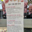 에덴로즈85 장미관련 이미지