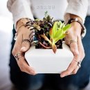 봉정요양원 네이버블로그