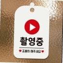제제#