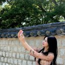 궁플라워 스타패션