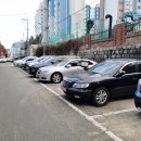 홍삼 청국장 | 대전 중촌동 소고기 맛집 <백조한우마을 본점> 청국장, 냄비밥까지 완벽 한 끼 후기