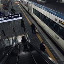 처갓집양념치킨 단양점 | 12월 상반기 근황