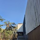 선의미학 문인화(강좌번호 : 1) | 🏯 수서역 근처 숨겨진 영혼의 안식처, 탄허기념박물관에서 만나는 불교의 깊이 있는 세계