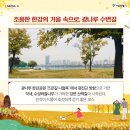 한강 산책 이미지