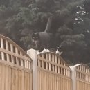 까치PC방 이미지