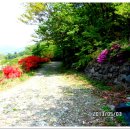 두척계곡 이미지