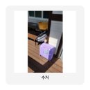 제주타이펜션 | 제주 뚜벅이 여행 꿀팁 짐캐리 제주공항점 이용후기 (가격, 방법)