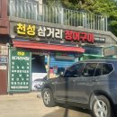 천성삼거리장어구이