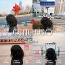 🇨🇳. 칭다오에서 4일동안 모닝러닝기록 믹스몰에서 54광장, 올림픽 요트경기장등