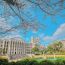 2024년 평생학습동아리 역량강화 교육 이미지