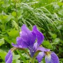 해와달농장 이미지