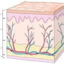 JY피부과의원 이미지