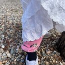 칠봉 송정 캠핑장 이미지