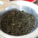 시골다슬기 이미지