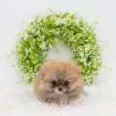 필상농장 이미지