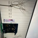 아워포레스트 이미지