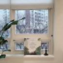 미켈란치과의원 | 분당미켈란치과의원에서 크라운 치료