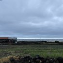 하귀하나로의원 이미지