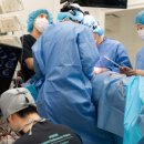 자스민 동물병원 이미지