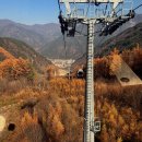 (주)경기수질환경개발 | 가리왕산 케이블카 후기와 할인 방법 정선 파크로쉬 숙박하며 가볼만한 곳