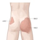 원잇핏 이미지