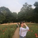 해송초등학교내 | 2025년 5월 마지막 주 일기 : 고여있던 어제의 에게 안녕을 건넨다